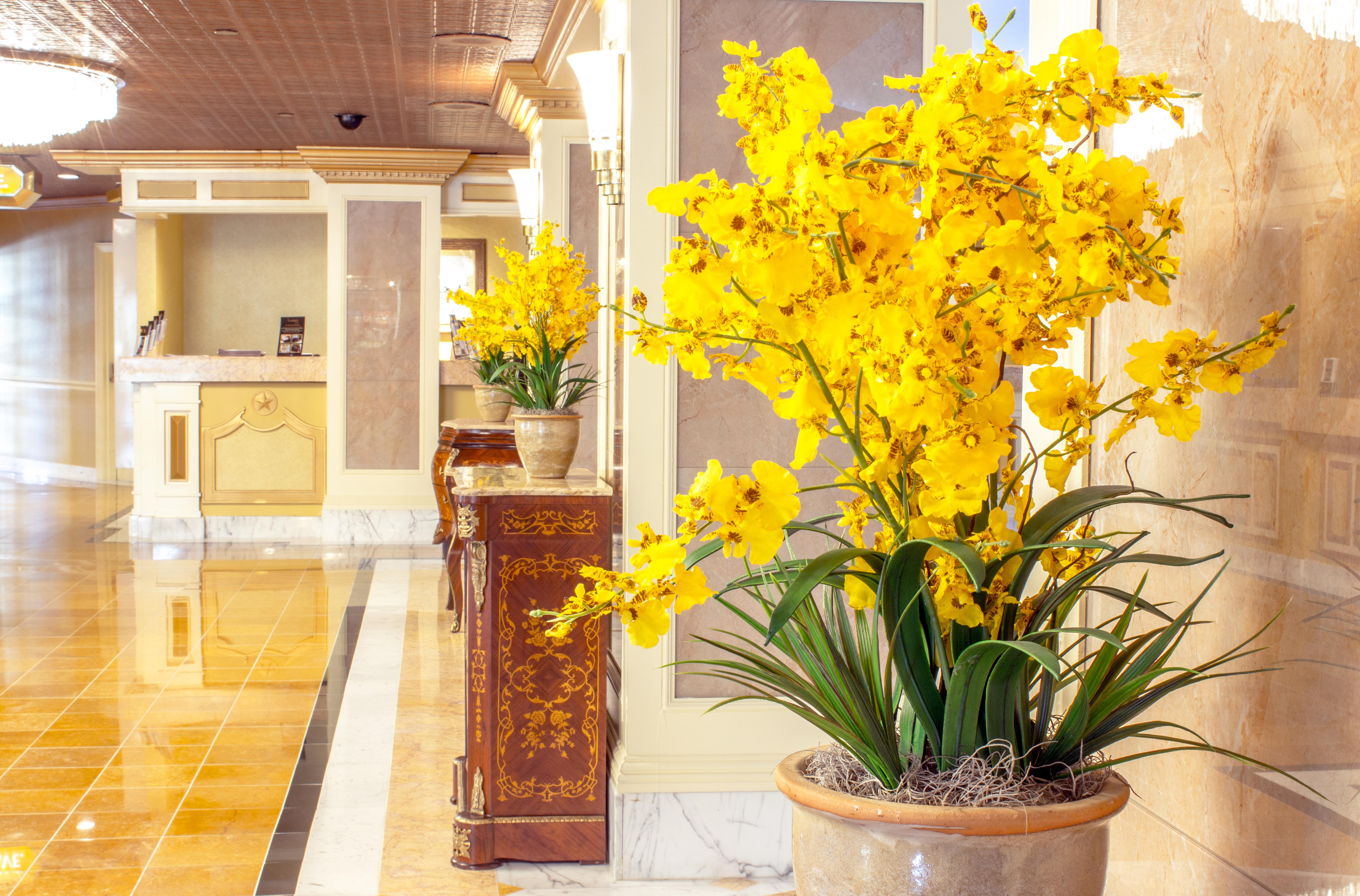 The Claridge Hotel Atlantic Stadt Exterior foto